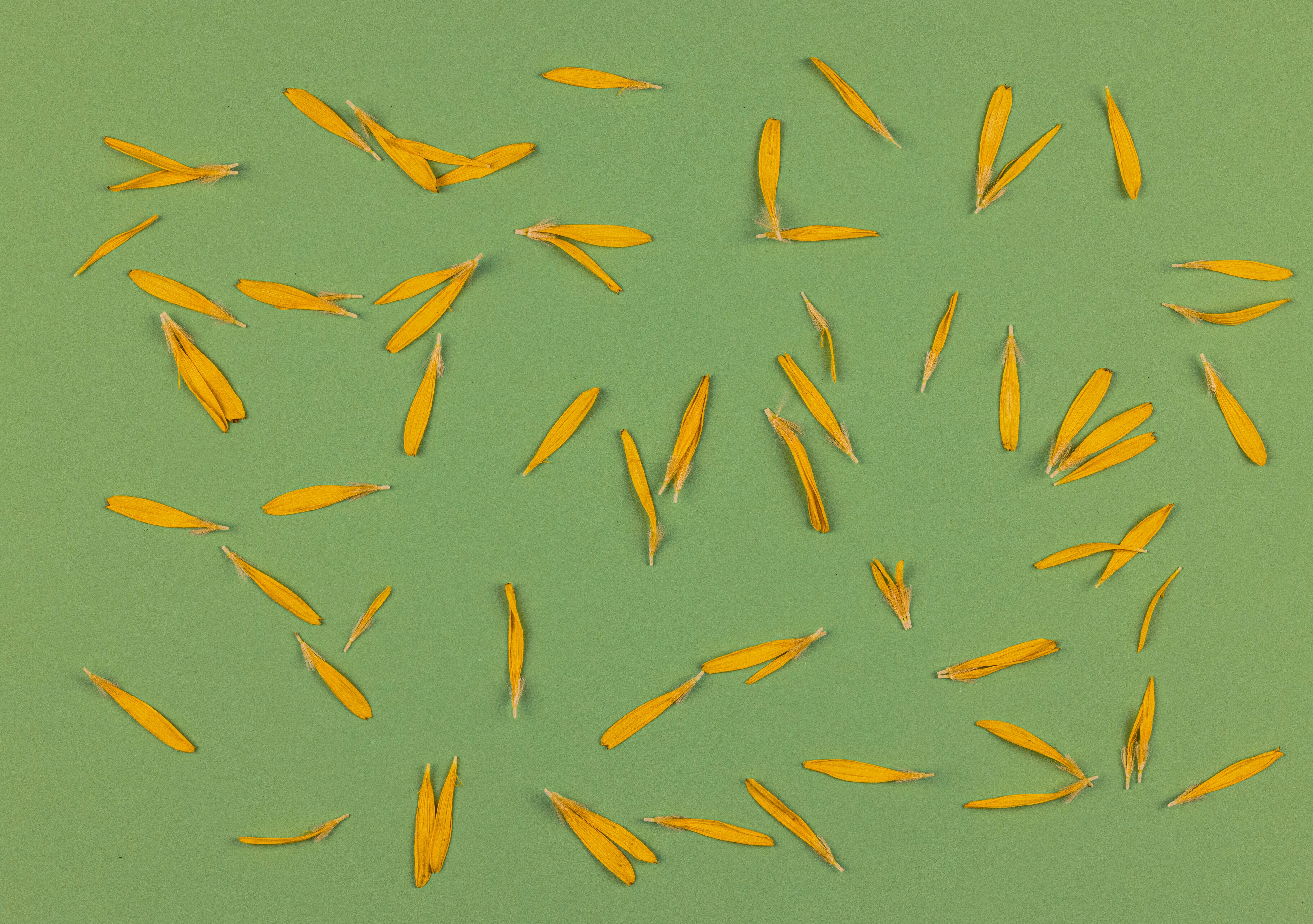 Illustration of Kubernetes Migration Process